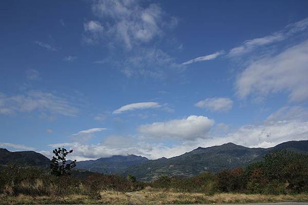 IMG_0487 IMG_0487