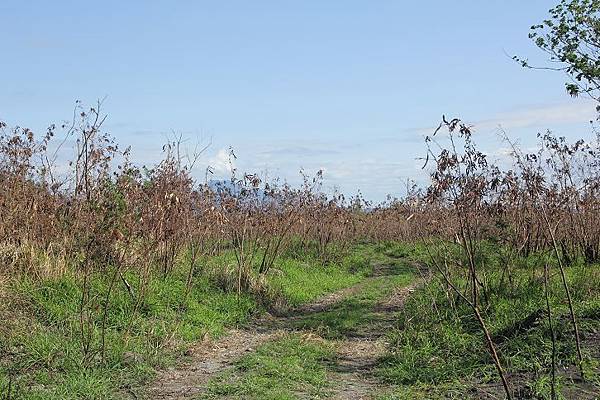 IMG_0503 IMG_0503