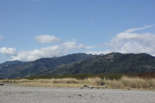 IMG_0515 IMG_0515