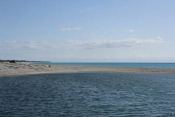 IMG_0528 IMG_0528