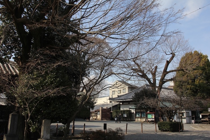 IMG_1378 IMG_1378