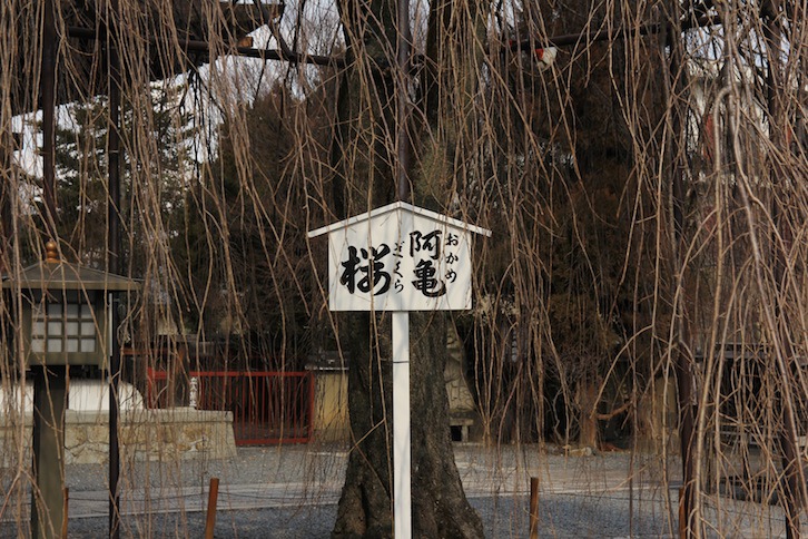 IMG_1381 IMG_1381