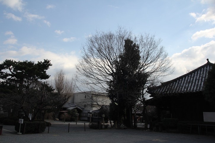 IMG_1393 IMG_1393