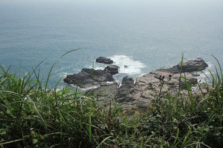 IMG_1896 IMG_1896