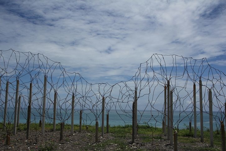 IMG_9773.jpg IMG_9773.jpg