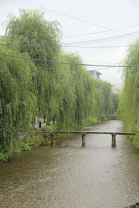 京都 四季散策 夏日風物詩 行者橋 一本橋 25度c的空白 痞客邦
