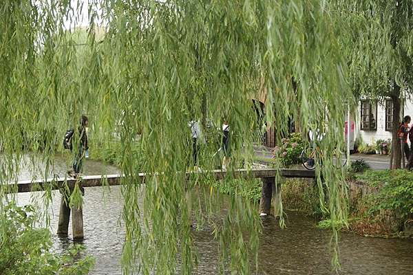 京都 四季散策 夏日風物詩 行者橋 一本橋 25度c的空白 痞客邦