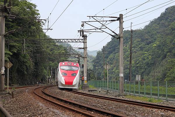 普悠瑪號穿過三貂嶺美麗的鐵道弧線.JPG 普悠瑪號穿過三貂嶺美麗的鐵道弧線.JPG