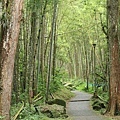 IMG_3520.JPG