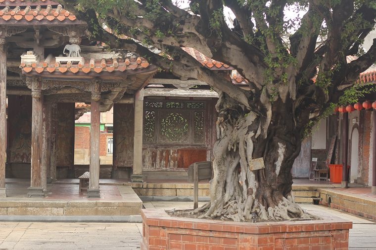 IMG_4782.jpg IMG_4782.jpg