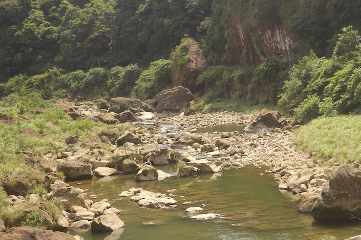 IMG_7926.JPG IMG_7926.JPG