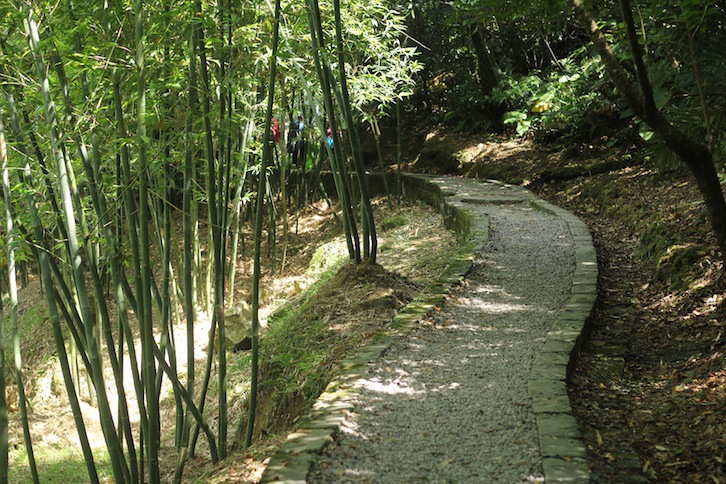 IMG_7950.JPG IMG_7950.JPG