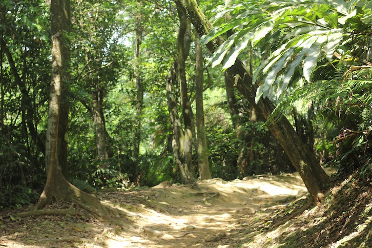 IMG_7954.JPG IMG_7954.JPG