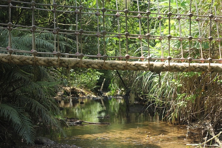 IMG_7971.JPG IMG_7971.JPG