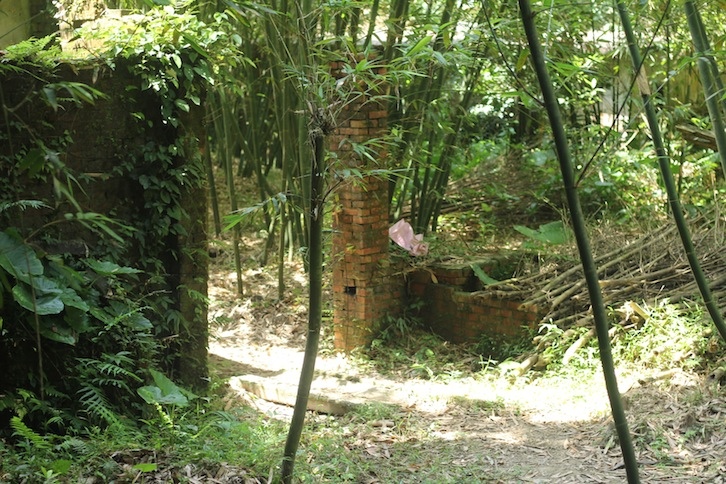 IMG_7967.JPG IMG_7967.JPG