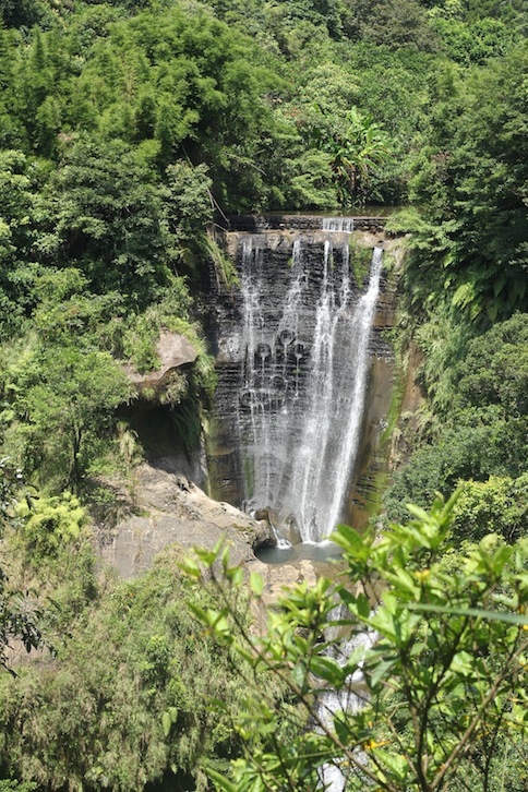 IMG_7963.JPG IMG_7963.JPG