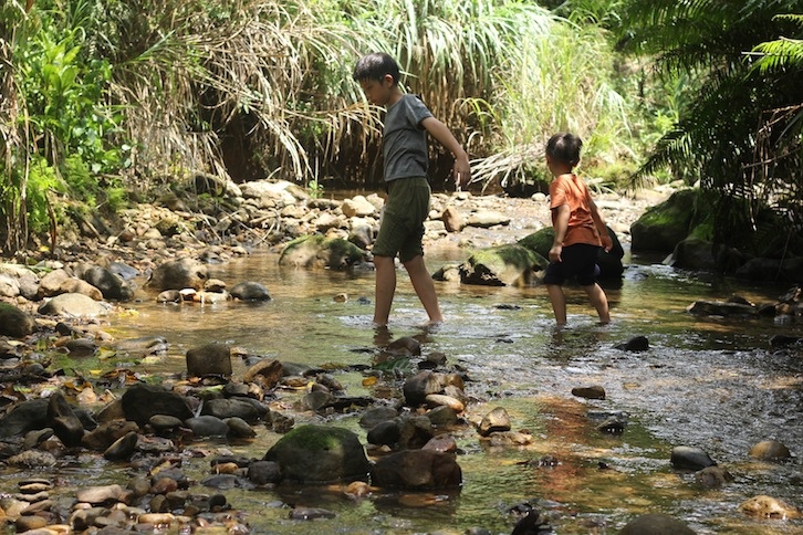 IMG_7982.JPG IMG_7982.JPG