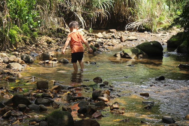 IMG_7984.JPG IMG_7984.JPG