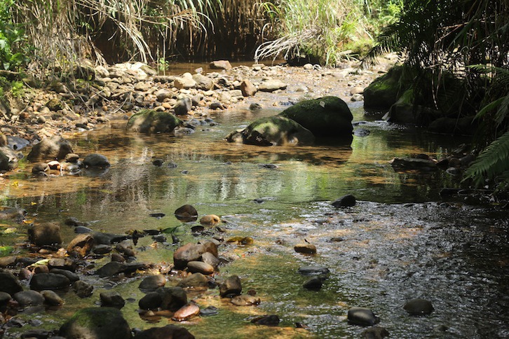 IMG_7970.JPG IMG_7970.JPG