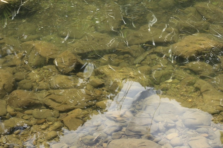 IMG_7996.JPG IMG_7996.JPG