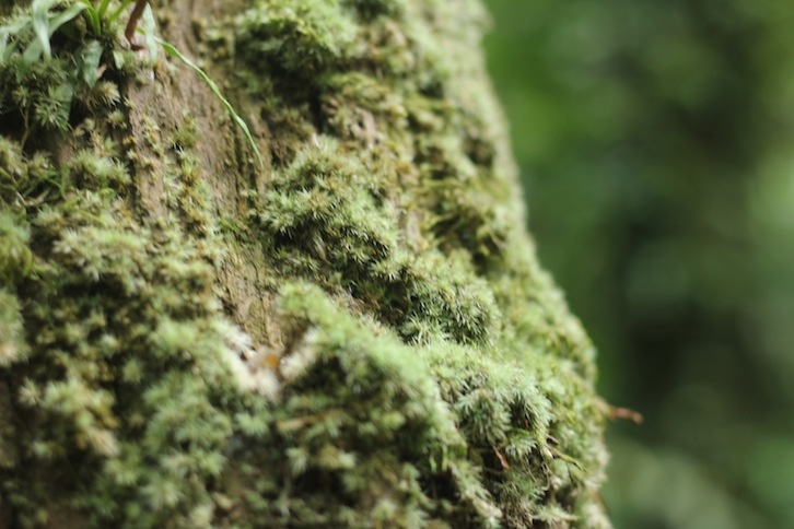 IMG_8007.JPG IMG_8007.JPG