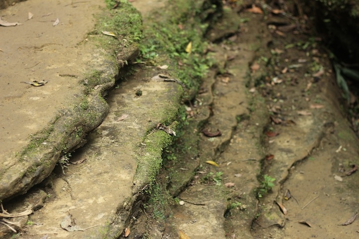 IMG_8013.JPG IMG_8013.JPG