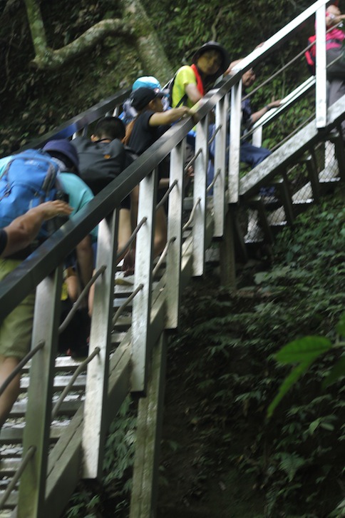 IMG_8024.JPG IMG_8024.JPG