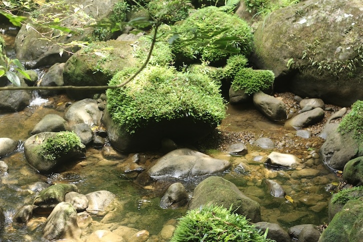 IMG_8019.JPG IMG_8019.JPG