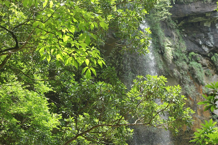 IMG_8021.JPG IMG_8021.JPG