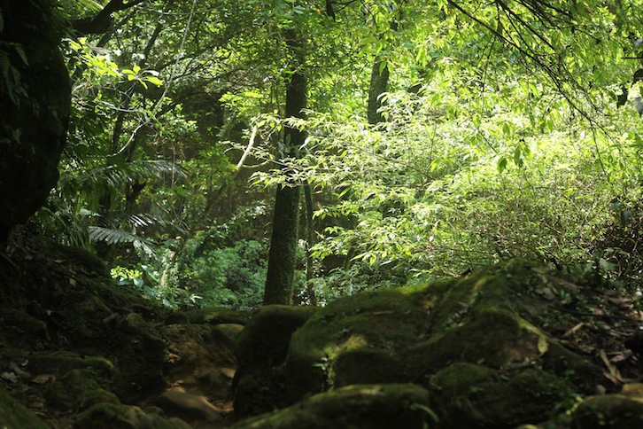 IMG_8020.JPG IMG_8020.JPG