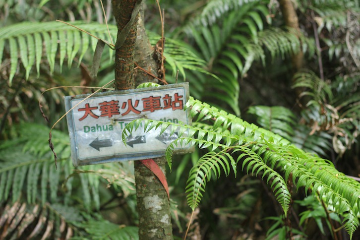 IMG_8033.JPG IMG_8033.JPG