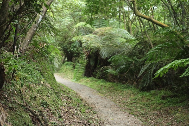 IMG_8036.JPG IMG_8036.JPG