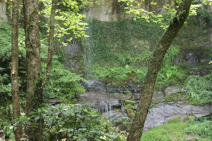 IMG_8026.JPG IMG_8026.JPG