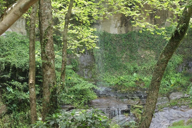 IMG_8028.JPG IMG_8028.JPG