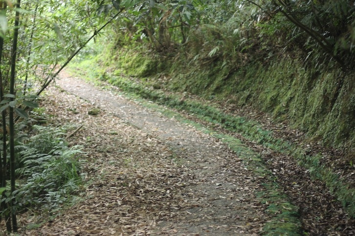 IMG_8038.JPG IMG_8038.JPG