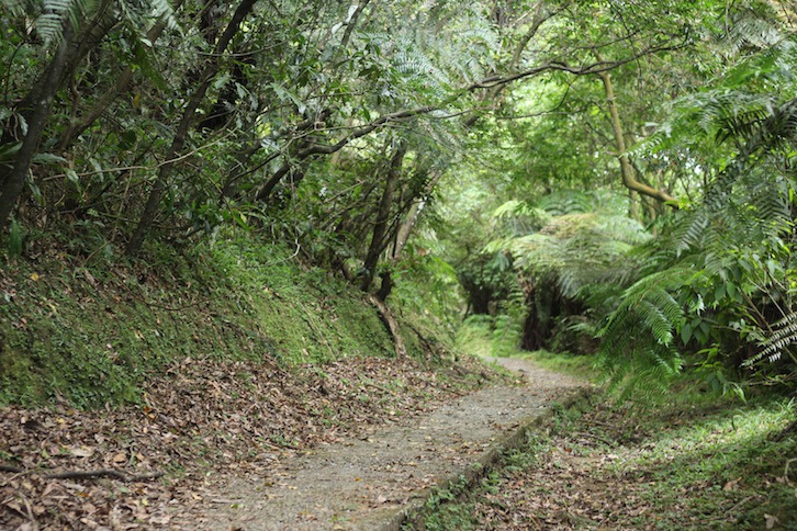 IMG_8035.JPG IMG_8035.JPG