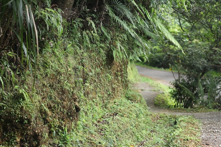 IMG_8043.JPG IMG_8043.JPG