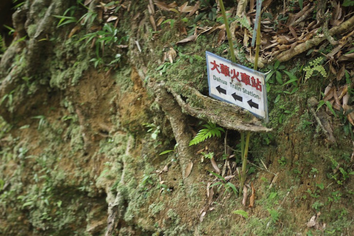 IMG_8041.JPG IMG_8041.JPG