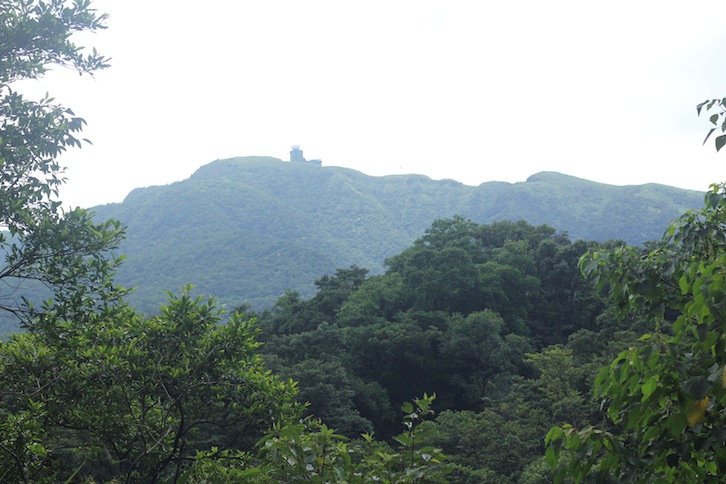 IMG_8045.JPG IMG_8045.JPG