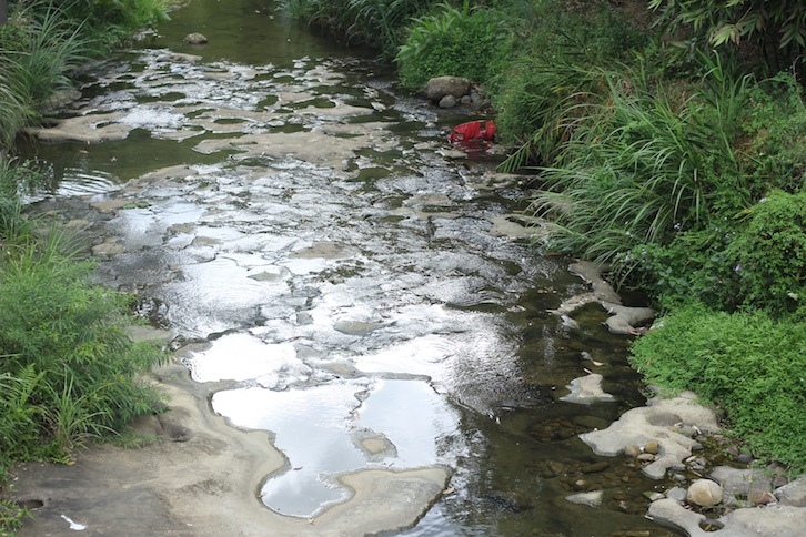 IMG_8058.JPG IMG_8058.JPG