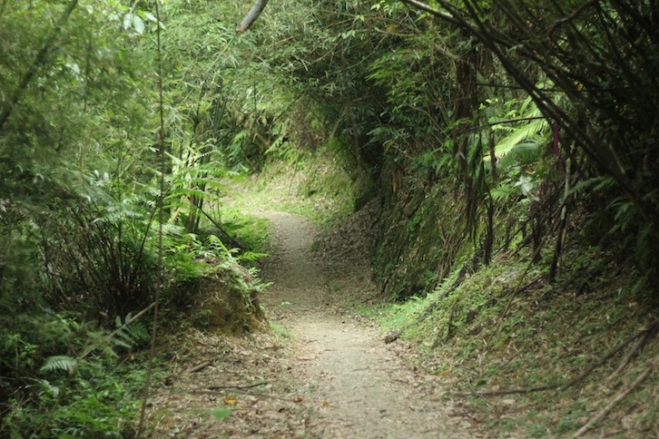 IMG_8052.JPG IMG_8052.JPG