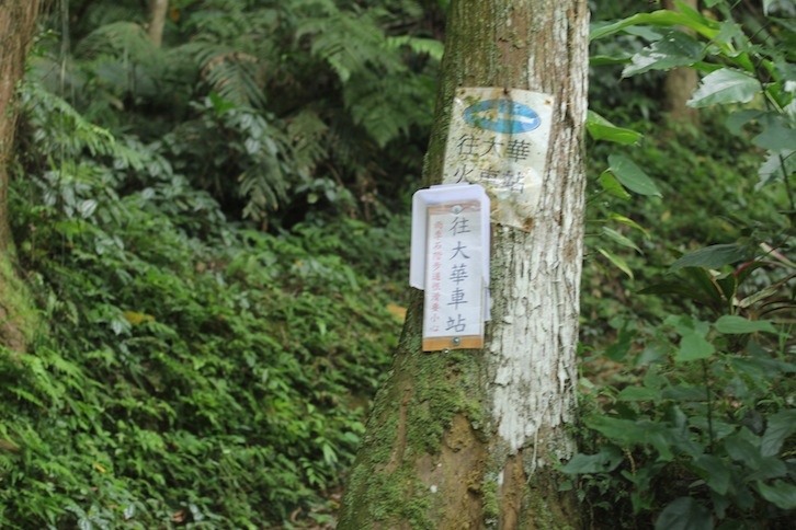 IMG_8061.JPG IMG_8061.JPG