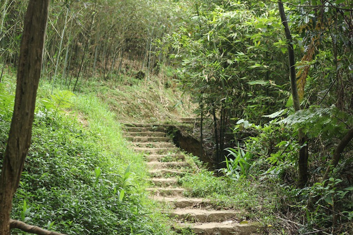 IMG_8063.JPG IMG_8063.JPG