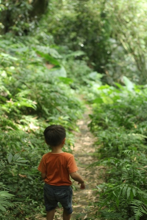 IMG_8072.JPG IMG_8072.JPG