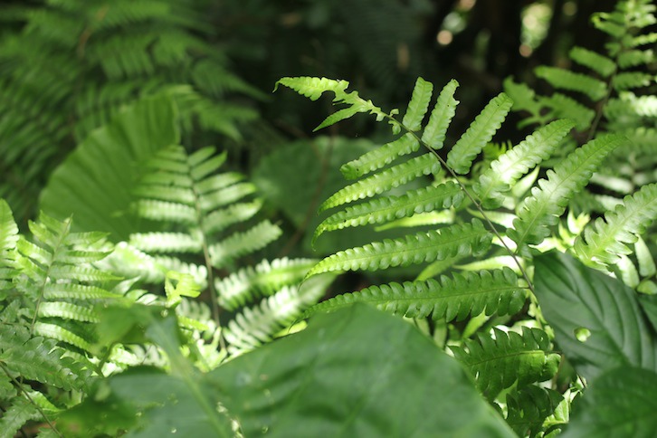 IMG_8081.JPG IMG_8081.JPG