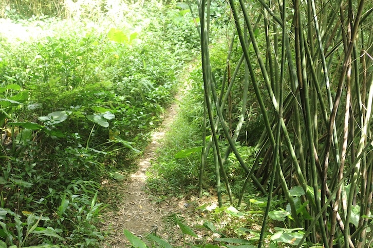 IMG_8080.JPG IMG_8080.JPG