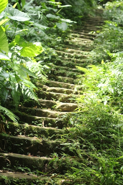 IMG_8077.JPG IMG_8077.JPG