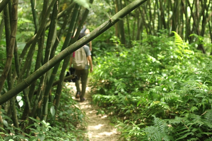 IMG_8082.JPG IMG_8082.JPG