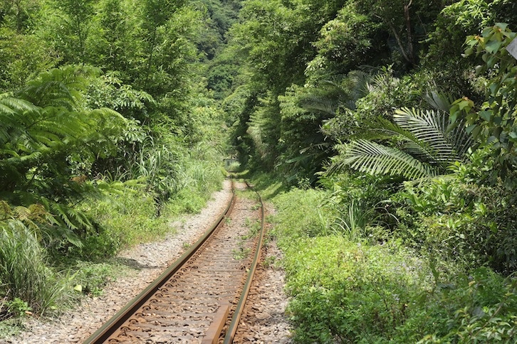 IMG_8088.JPG IMG_8088.JPG