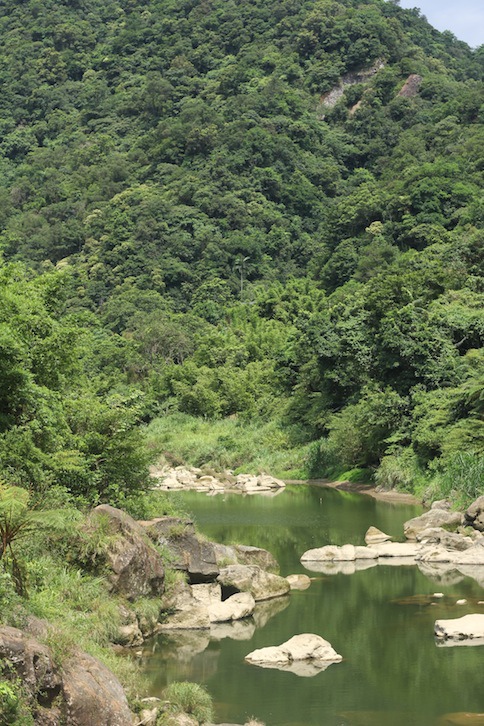 IMG_8086.JPG IMG_8086.JPG